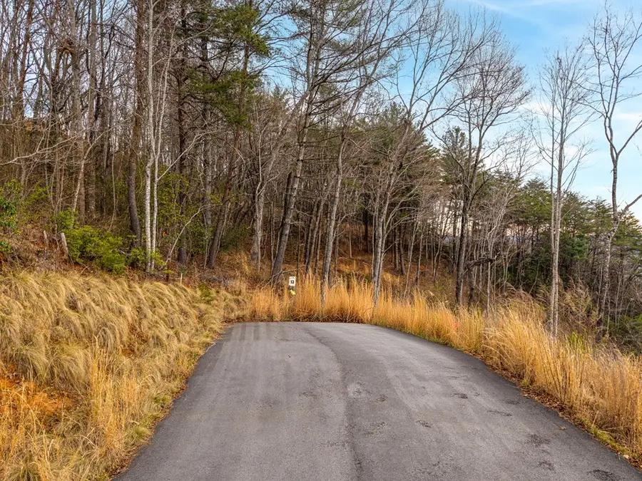 Lot 13 White Oak Circle, Blue Ridge, GA 30513 - #2