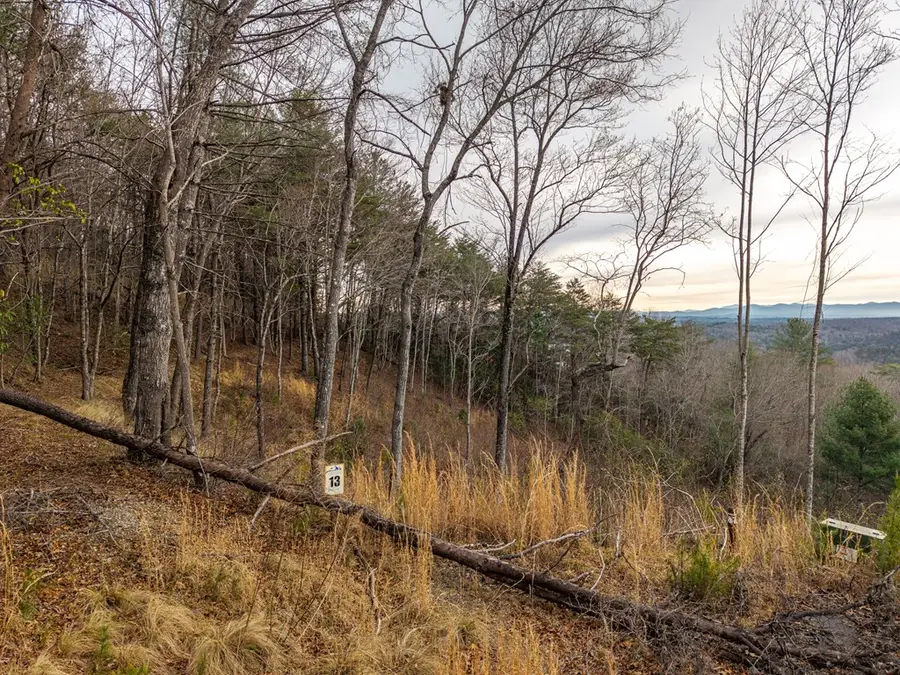 Lot 13 White Oak Circle, Blue Ridge, GA 30513 - #3
