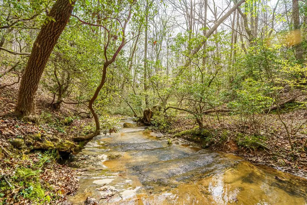 3467 Carver Mill Road, Talking Rock, GA 30175 - #1