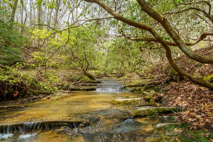 3467 Carver Mill Road, Talking Rock, GA 30175 - #2