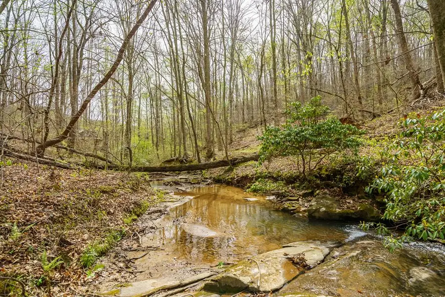 3467 Carver Mill Road, Talking Rock, GA 30175 - #3