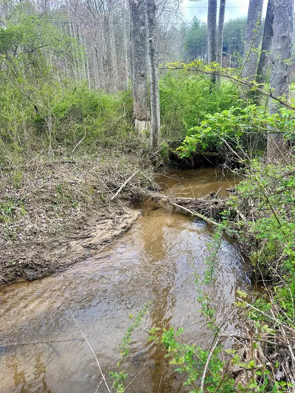 Lot 1 S Blue Horizon Drive, Blue Ridge, GA 30513