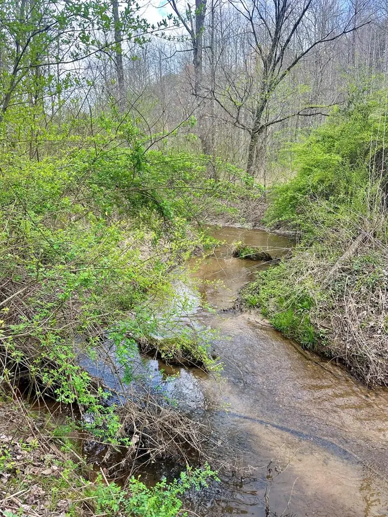 Lot 1 S Blue Horizon Drive, Blue Ridge, GA 30513 - #2