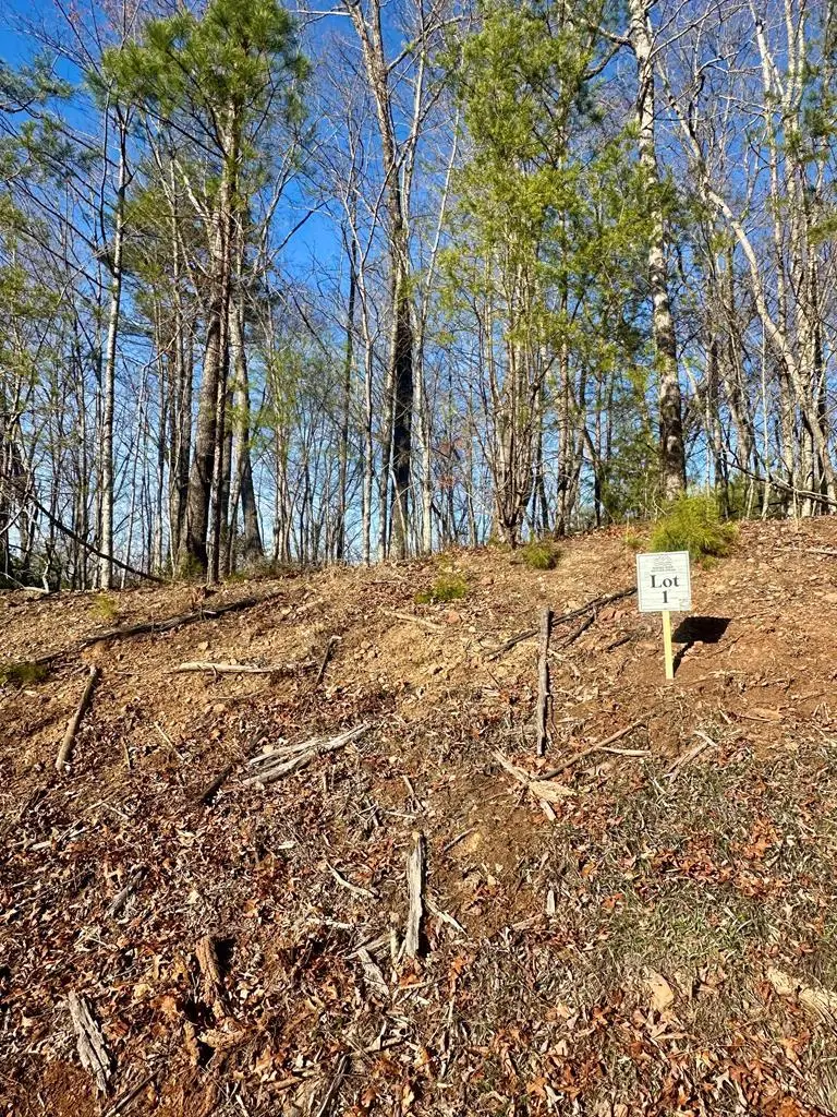 Lot 1 S Blue Horizon Drive, Blue Ridge, GA 30513 - #3