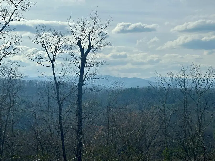 Lot 3 Blue Horizon Drive, Blue Ridge, GA 30513 - #2