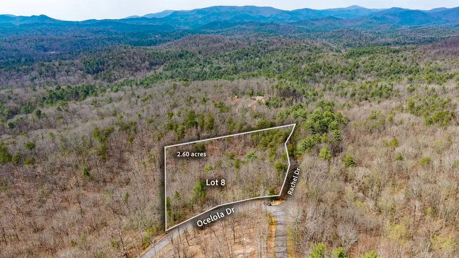 Lot 8 Oceola Drive, Ellijay, GA 30540 - #2