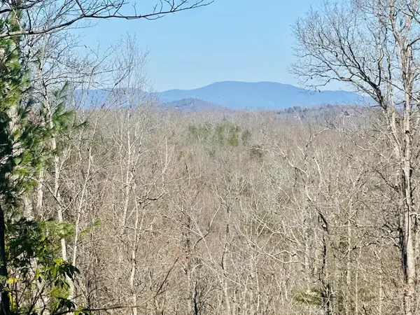 Address Withheld By Seller, Blue Ridge, GA 30513