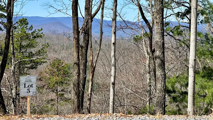 Address Withheld By Seller, Blue Ridge, GA 30513 - #3
