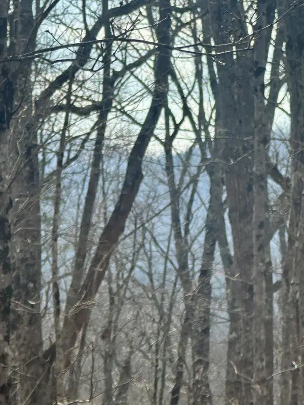 Lot 22 Blue Horizon Drive, Blue Ridge, GA 30513