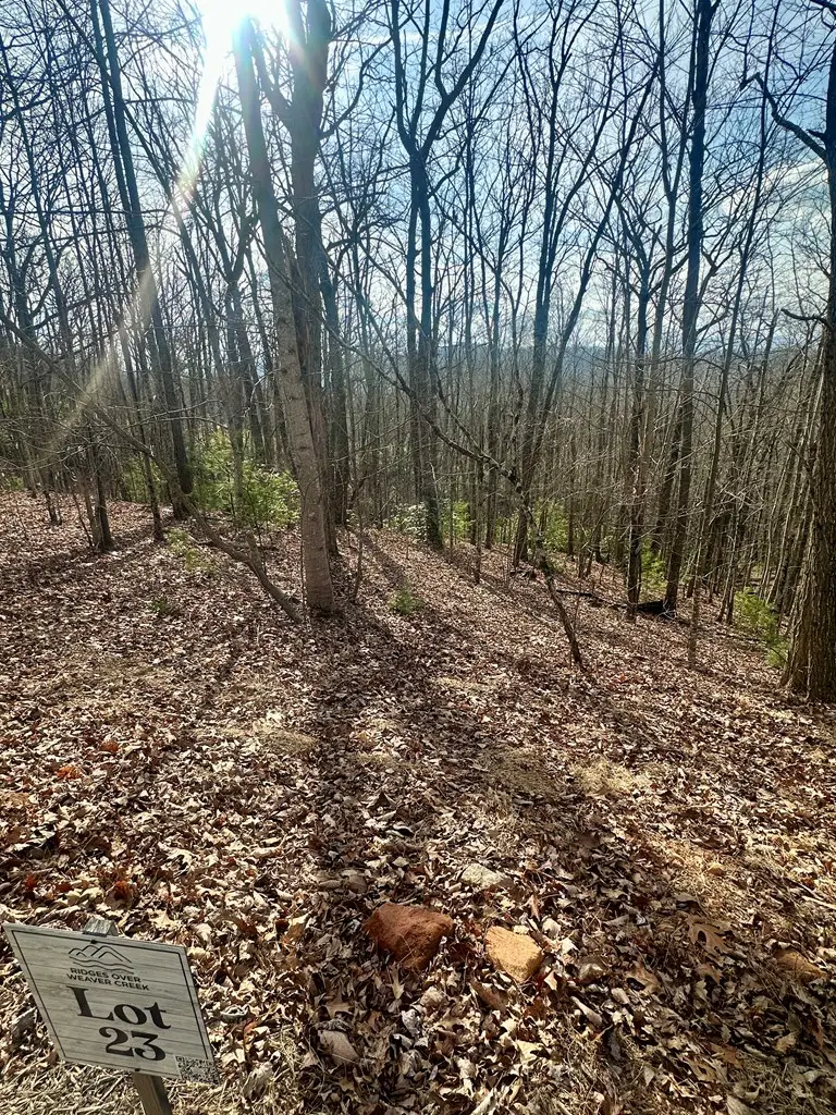 Lot 23 Blue Horizon Drive, Blue Ridge, GA 30513 - #2