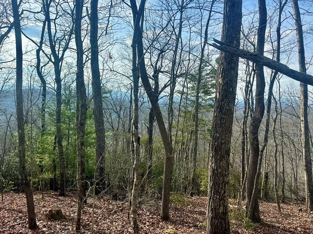 Lot 31 Blue Horizon Drive, Blue Ridge, GA 30513 - #1