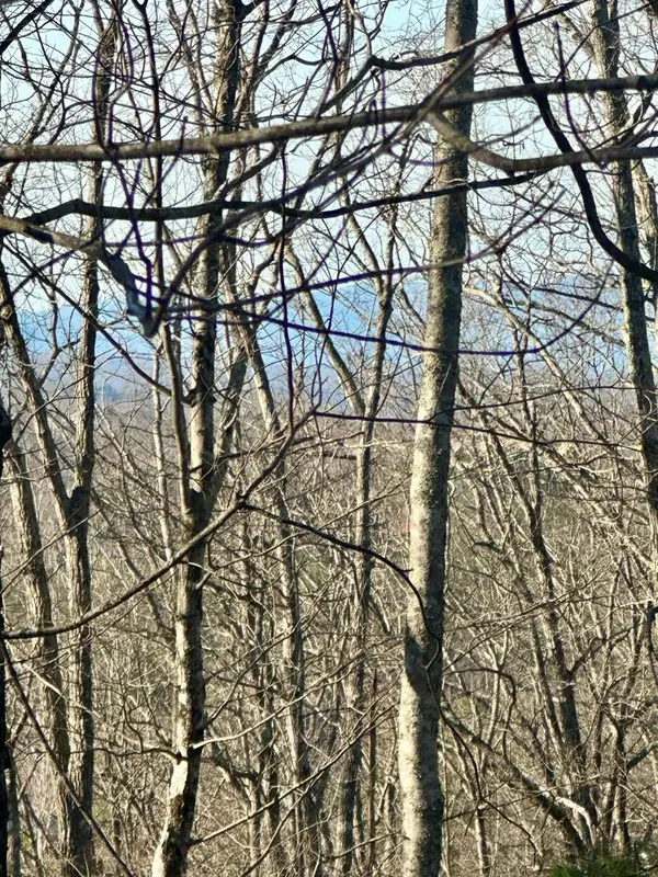 Lot 32 Blue Horizon Drive, Blue Ridge, GA 30513