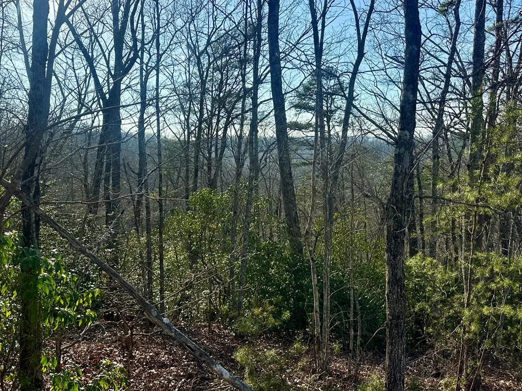 Lot 34 Blue Horizon Drive, Blue Ridge, GA 30513 - #1