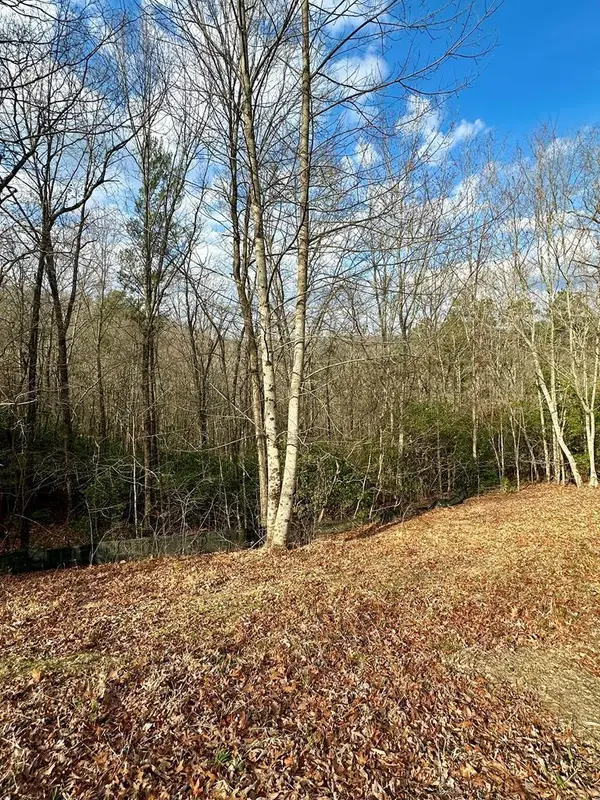 Lot 36 Blue Horizon Drive, Blue Ridge, GA 30513