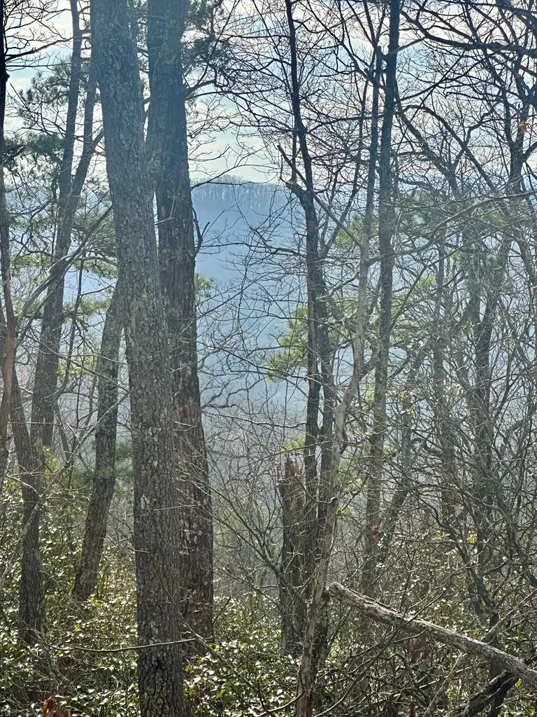 Lot 8 Sapphire Ridge, Blue Ridge, GA 30513 - #1