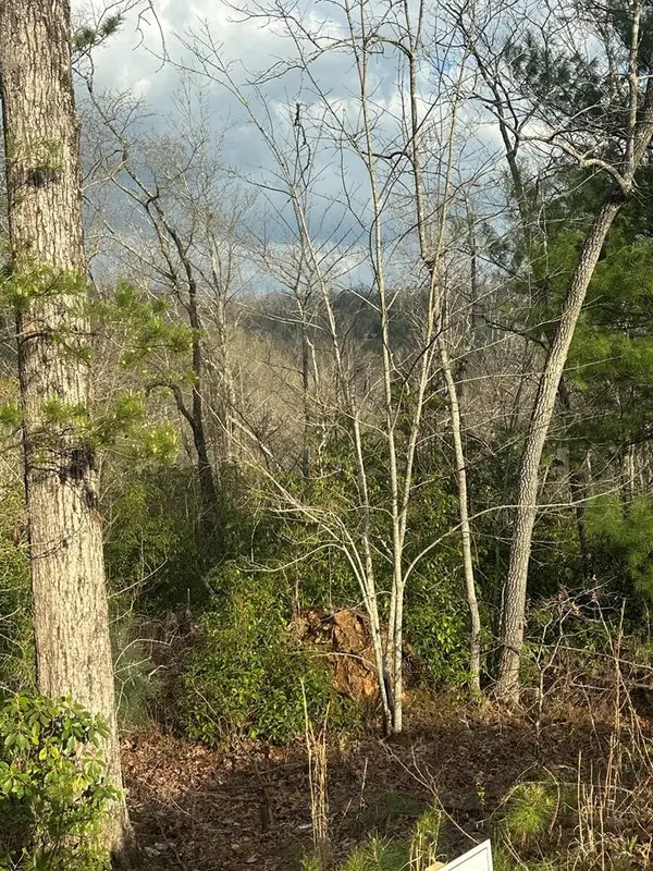 Lot 19 Turquoise Ridge, Blue Ridge, GA 30513
