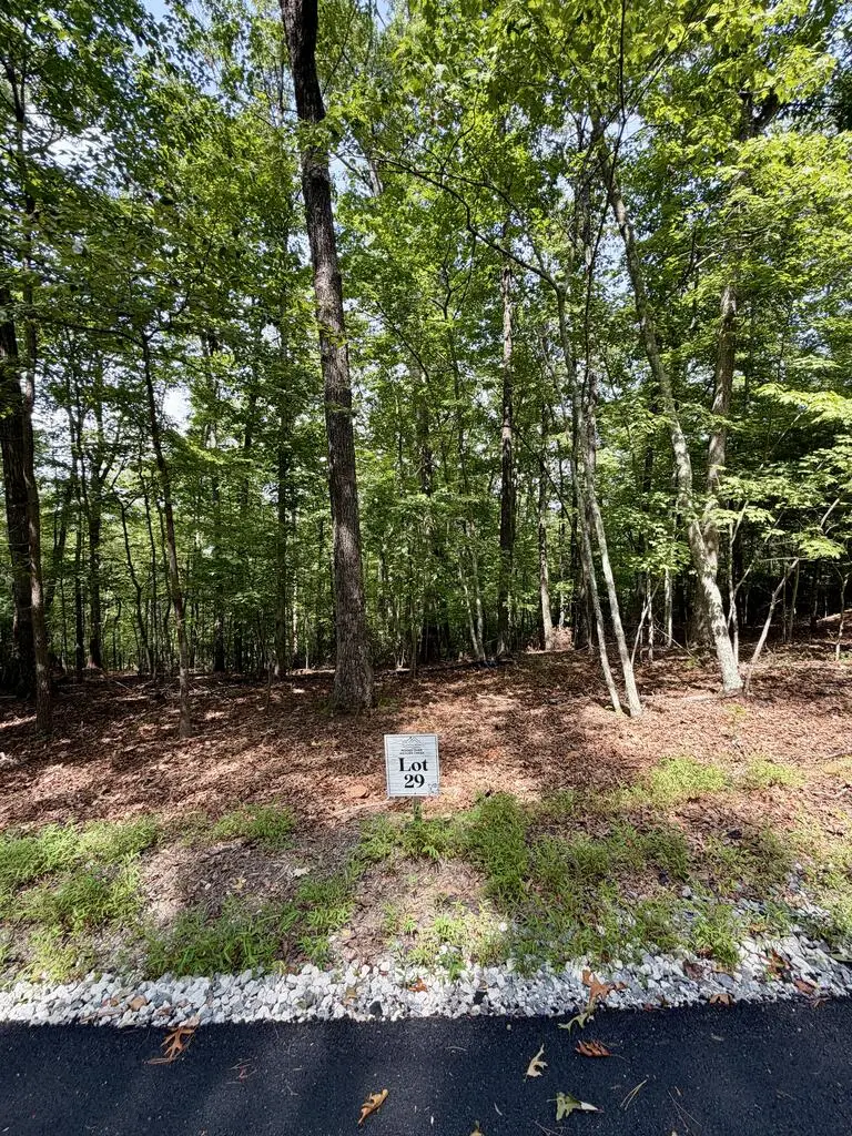 Lot 29 Prospect Ridge, Blue Ridge, GA 30513 - #3