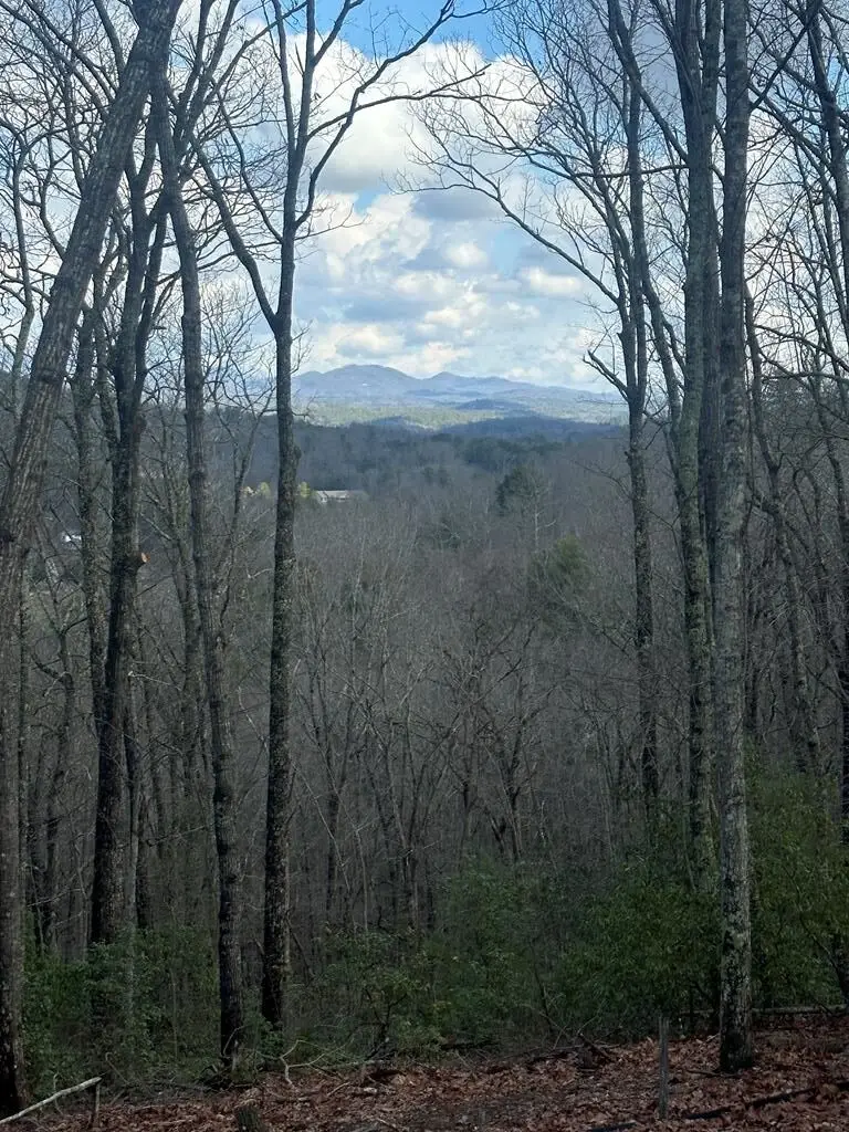 Lot 30 Prospect Ridge, Blue Ridge, GA 30513 - #2