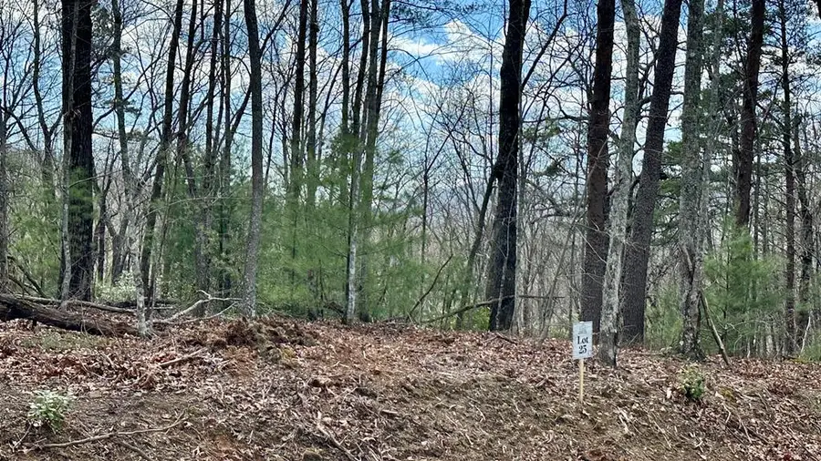 Lot 25 Prospect Ridge, Blue Ridge, GA 30513 - #2