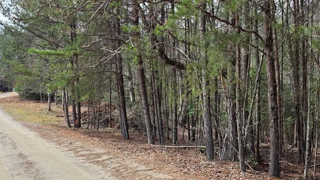Lot 25 Pine Log Circle, Warne, NC 28909 - #1