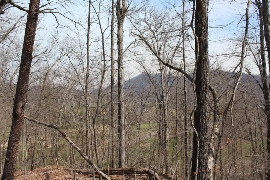 Lot 87A Licklog Ridge, Hayesville, NC 28904 - #3