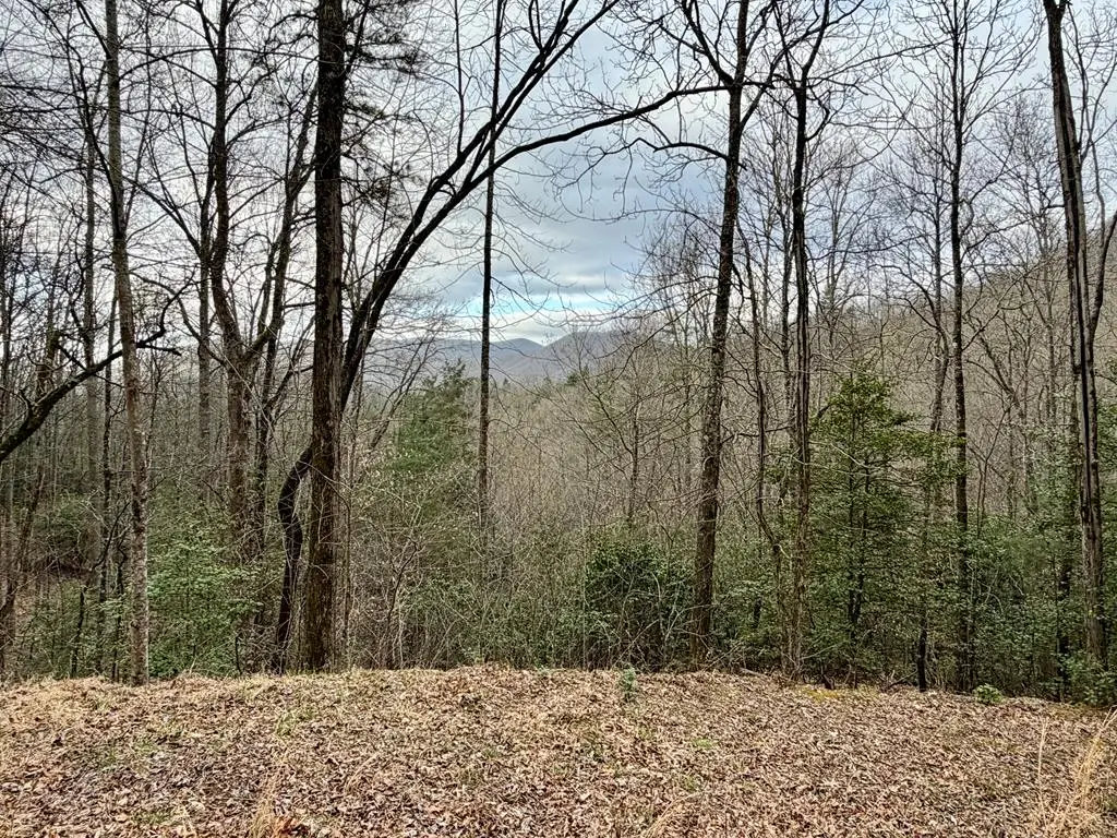 Lot 13 The Highlands, Hiawassee, GA 30546 - #1
