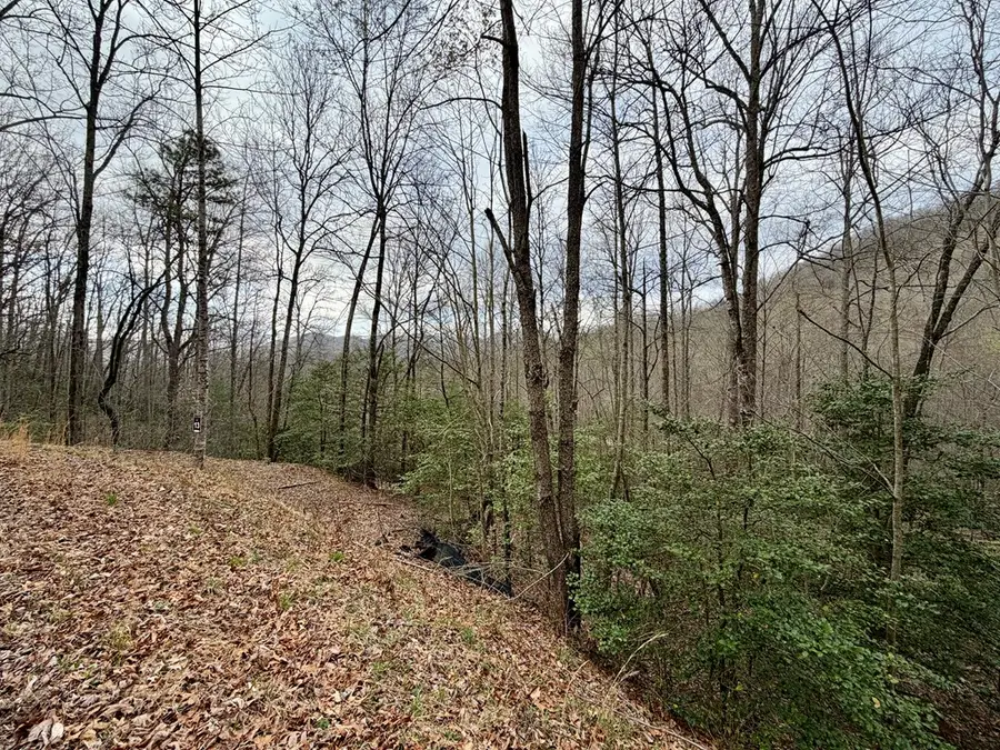 Lot 13 The Highlands, Hiawassee, GA 30546 - #3