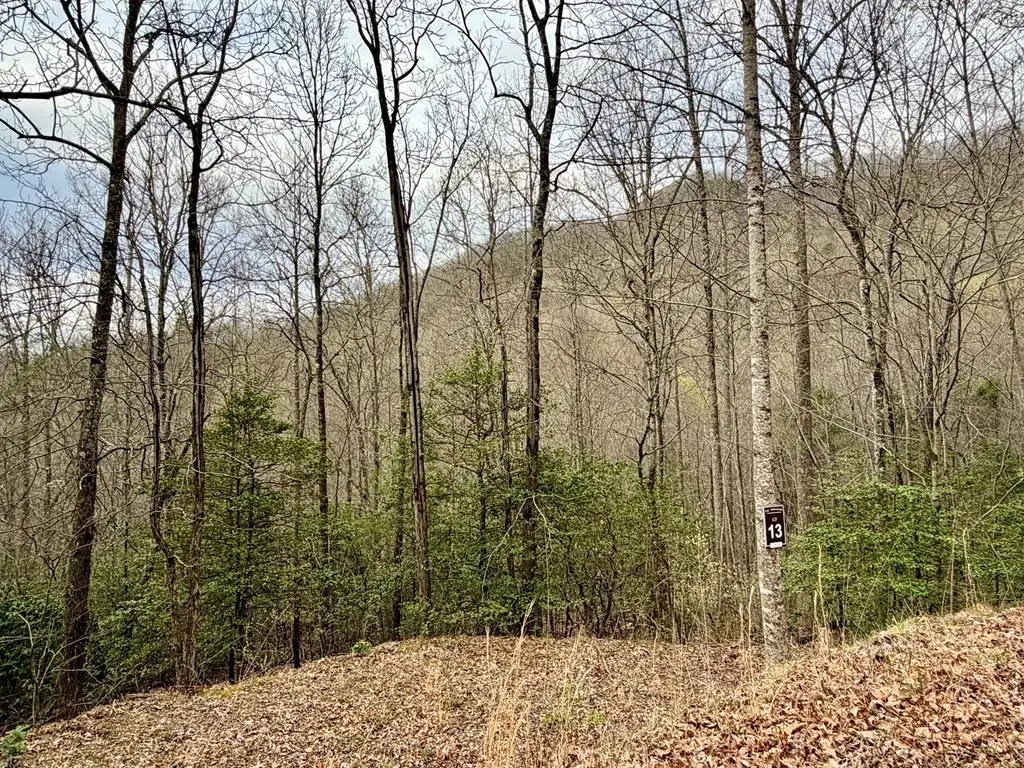 Lot 14 The Highlands, Hiawassee, GA 30546 - #1