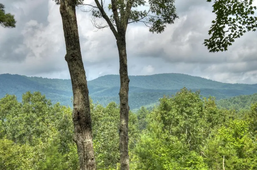 587 Candy Lane, North Gilmer, GA 50512 - #2