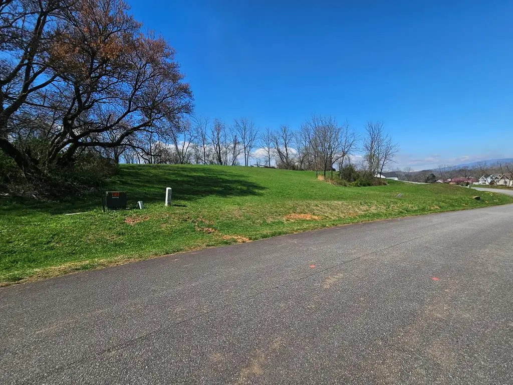 0 Mcglamery Farm Drive, Hayesville, NC 28904 - #1