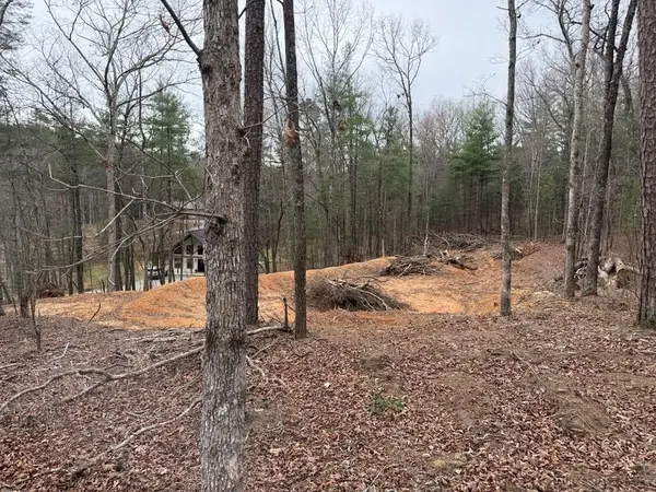 Lot # 5 Oakwood Trail, Mineral Bluff, GA 30559