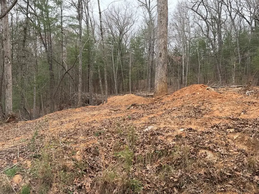 Lot # 5 Oakwood Trail, Mineral Bluff, GA 30559 - #2