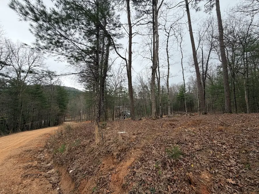Lot # 5 Oakwood Trail, Mineral Bluff, GA 30559 - #3
