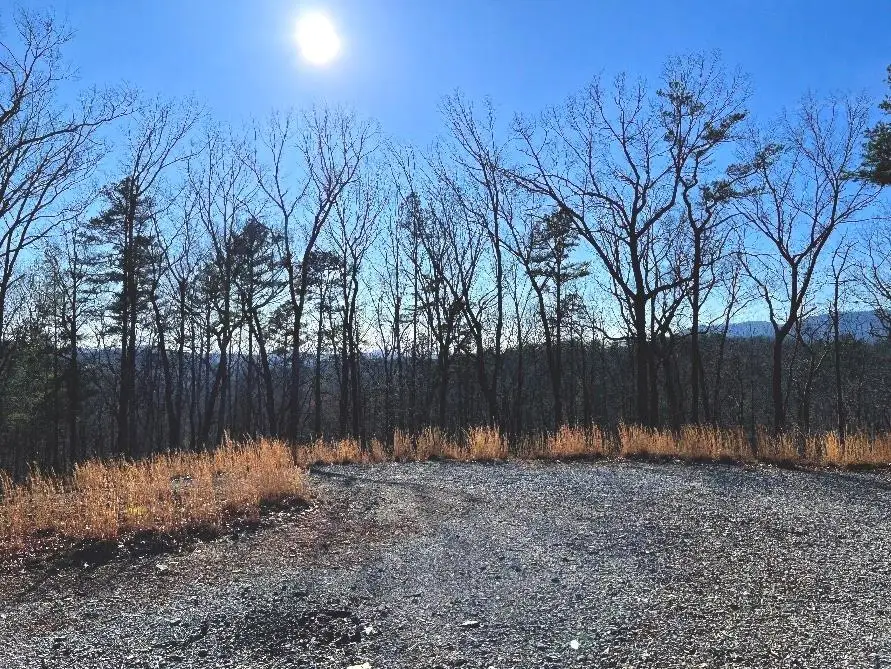 673 Willard Mountain Road, Blue Ridge, GA 30513 - #2