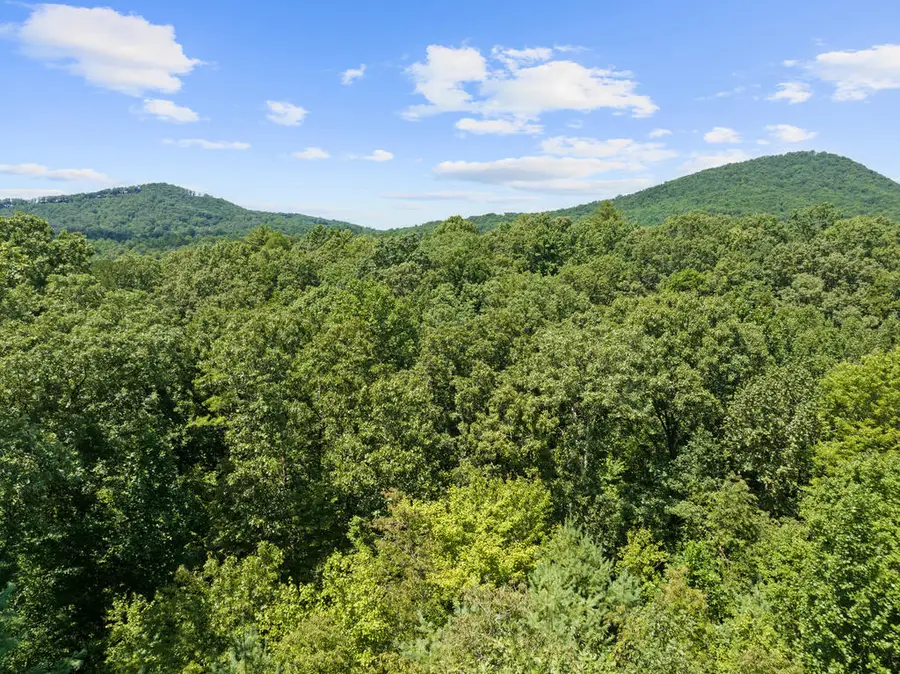 220 Lakota Lane, Mineral Bluff, GA 30559 - #2