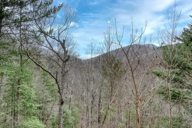 305 Rileigh Ridge Road, Blairsville, GA 30512 - #3