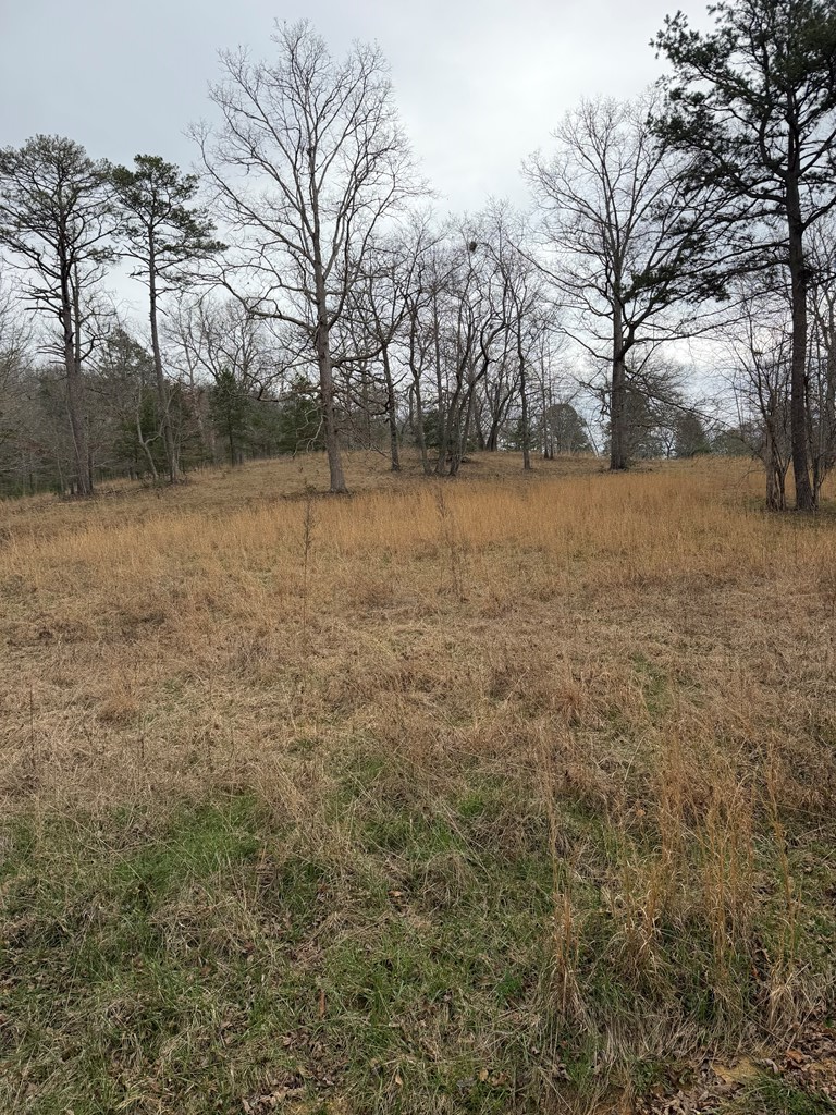 0 Country Lane, Murphy, NC 28906 - #2