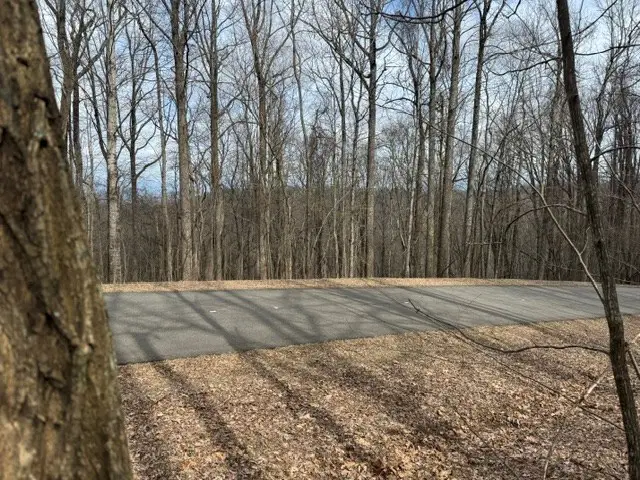 220 St Andrews Way, Jasper, GA 30143 - #3