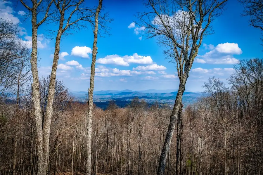 176 Katahdin Drive, Mineral Bluff, GA 30559 - #3