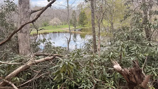 #9 Mill Creek Hollow, Hayesville, NC 28904