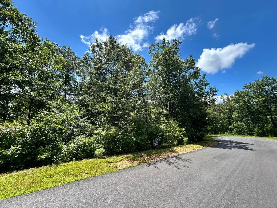 Lot 196 NW Trails End Way, Mineral Bluff, GA 30559 - #2