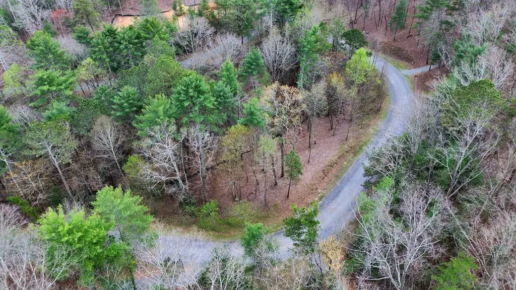 lot 108 Red Oak Trail, Ellijay, GA 30540 - #1