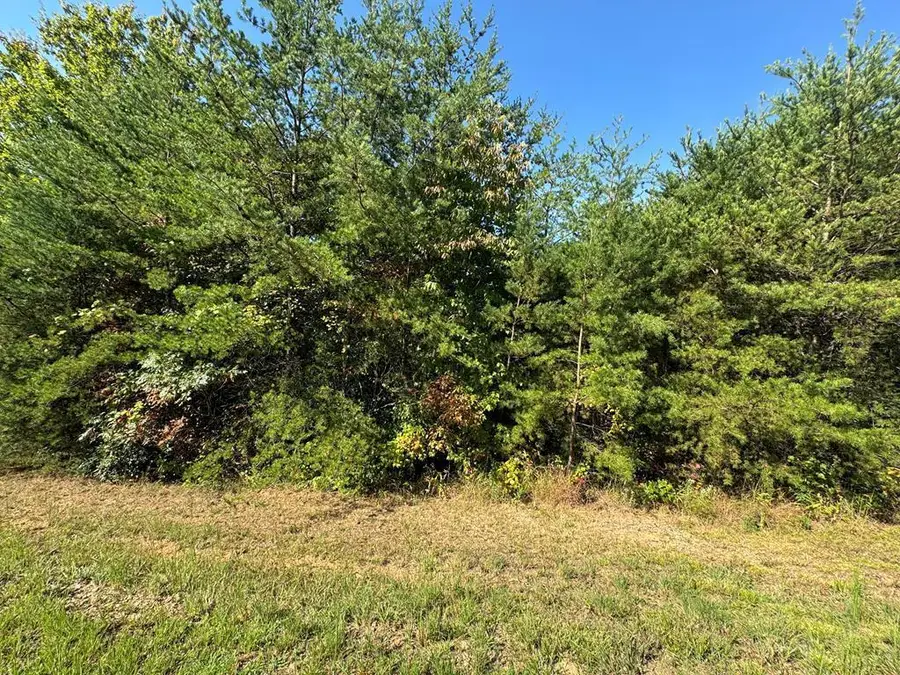 283 Golden Eagle Circle, Turtletown, TN 37391 - #2