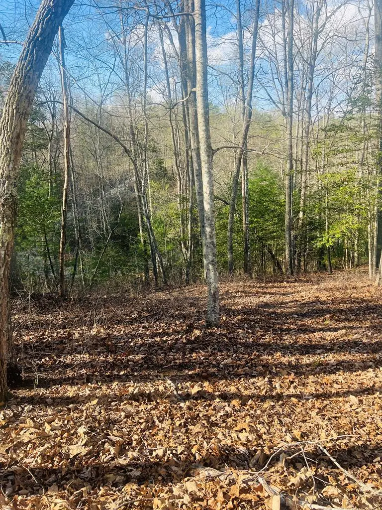 00 Ford Lane, Murphy, NC 28906 - #2