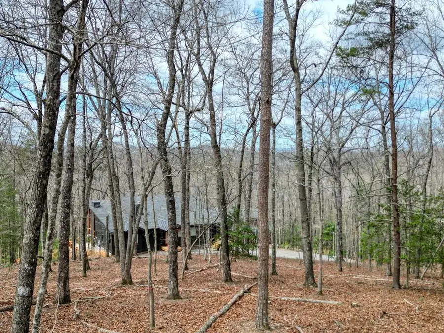 Lot 25 Cross Creek, Mineral Bluff, GA 30559 - #2