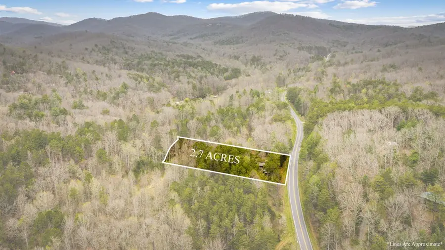10042 Doublehead Gap Road, Ellijay, GA 30536 - #3