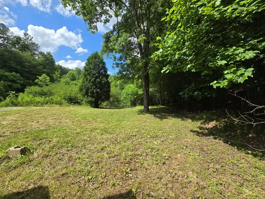 0 Blue Arrow Lane, Mineral Bluff, GA 30559 - #3