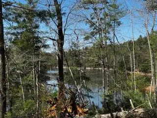 92 Misty Mountain Trail, Morganton, GA 30560 - #2