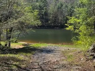 92 Misty Mountain Trail, Morganton, GA 30560 - #3