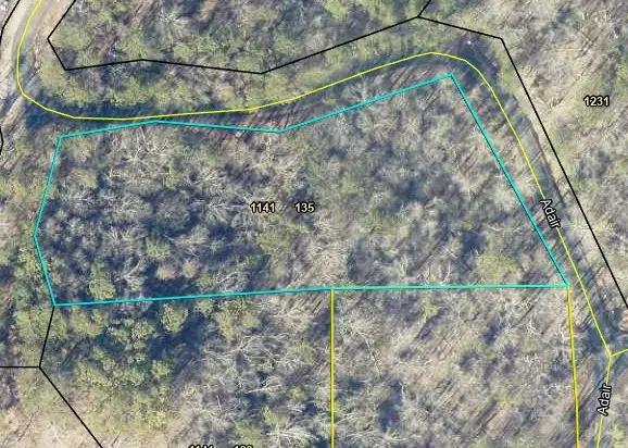 135 Adair Drive, Ranger, GA 30734 - #2